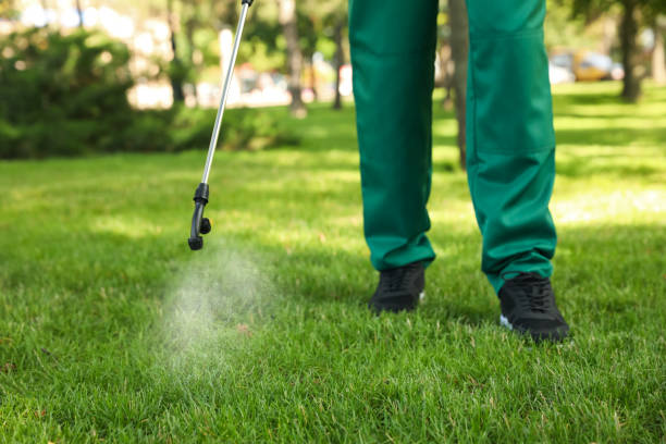 Flea Control Services in Hedwig Village, TX