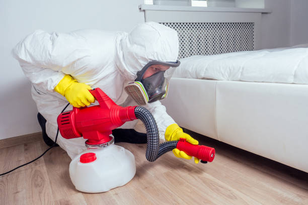 Best Commercial Pest Control Services  in Hedwig Village, TX