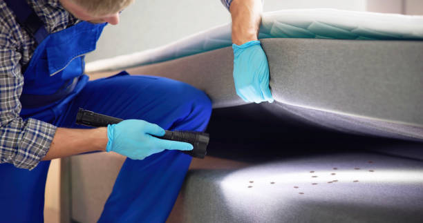 Best Pest Removal Services  in Hedwig Village, TX